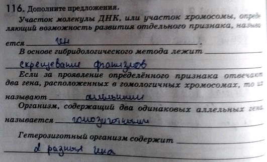 Изображение 1 1 6. Дополнитепредложения. Участок молекулы ДНК, или участок хромосомы, определяющий возможность развития отдельного признака, называется _B основе...