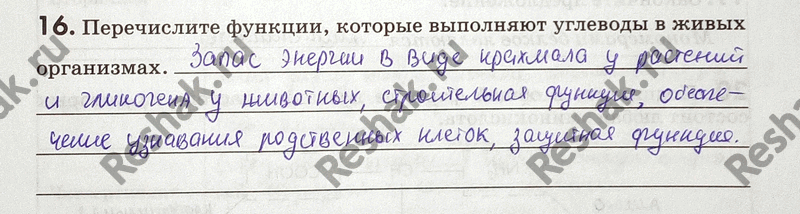 Изображение 1 6. Перечислите функции, которые выполняют углеводы в живых...