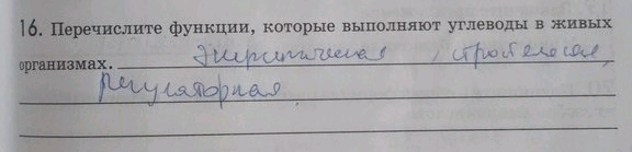 Изображение 1 6. Перечислите функции, которые выполняют углеводы в живых...
