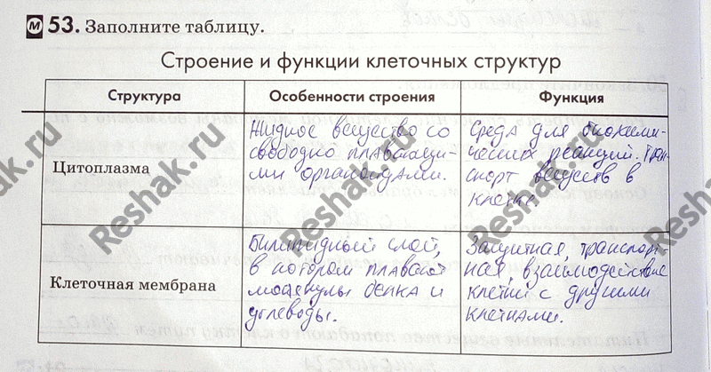 Изображение 53. Заполните таблицу. Строение и функции клеточных структурСтруктура Особенности строения Функция Цитоплазма Клеточная мембрана...