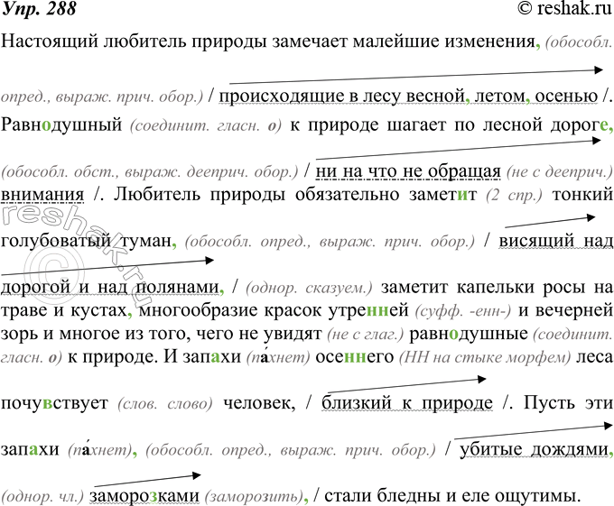 Изображение 288. Прочитайте. Спишите текст, разделяя запятыми однородные члены и выделяя запятыми обособленные члены, выраженные причастными и деепричастными оборотами. Подчеркните...