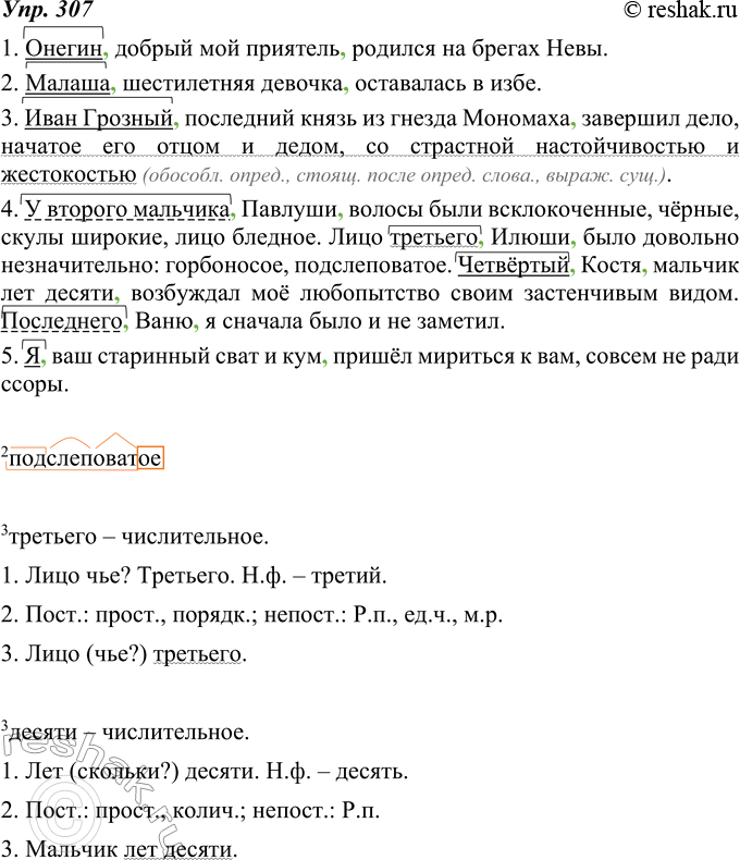 Изображение 307. Запишите предложения, выделяя запятыми обособленные приложения. Укажите, какими членами предложения являются определяемые слова, выделив их графически. В каком из...